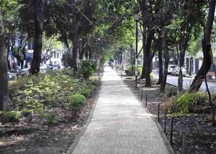 Amplio Apto Con Excelente Ubicacion En La Condesa